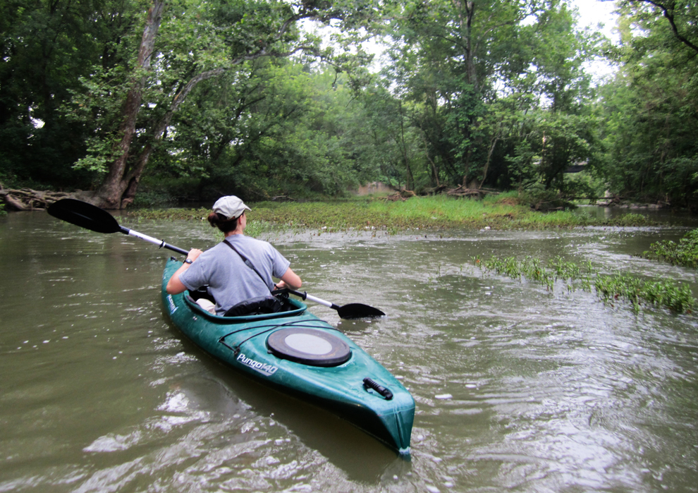 Kayaker on Big Darby Creek during bird survey.