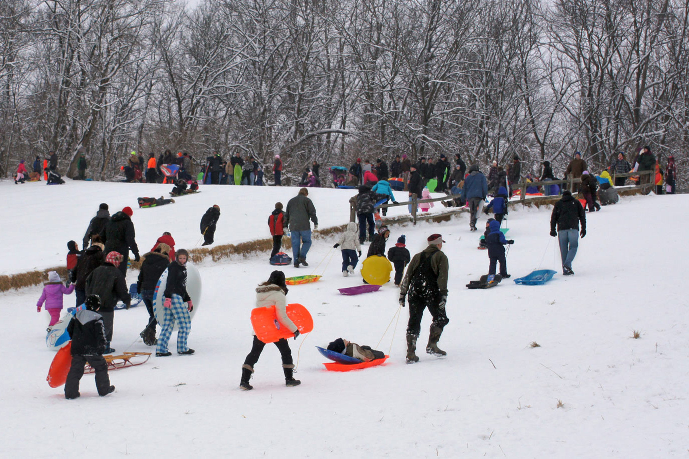 Sledders walk to the top of the sledding hill at Battelle Darby Creek Metro Park