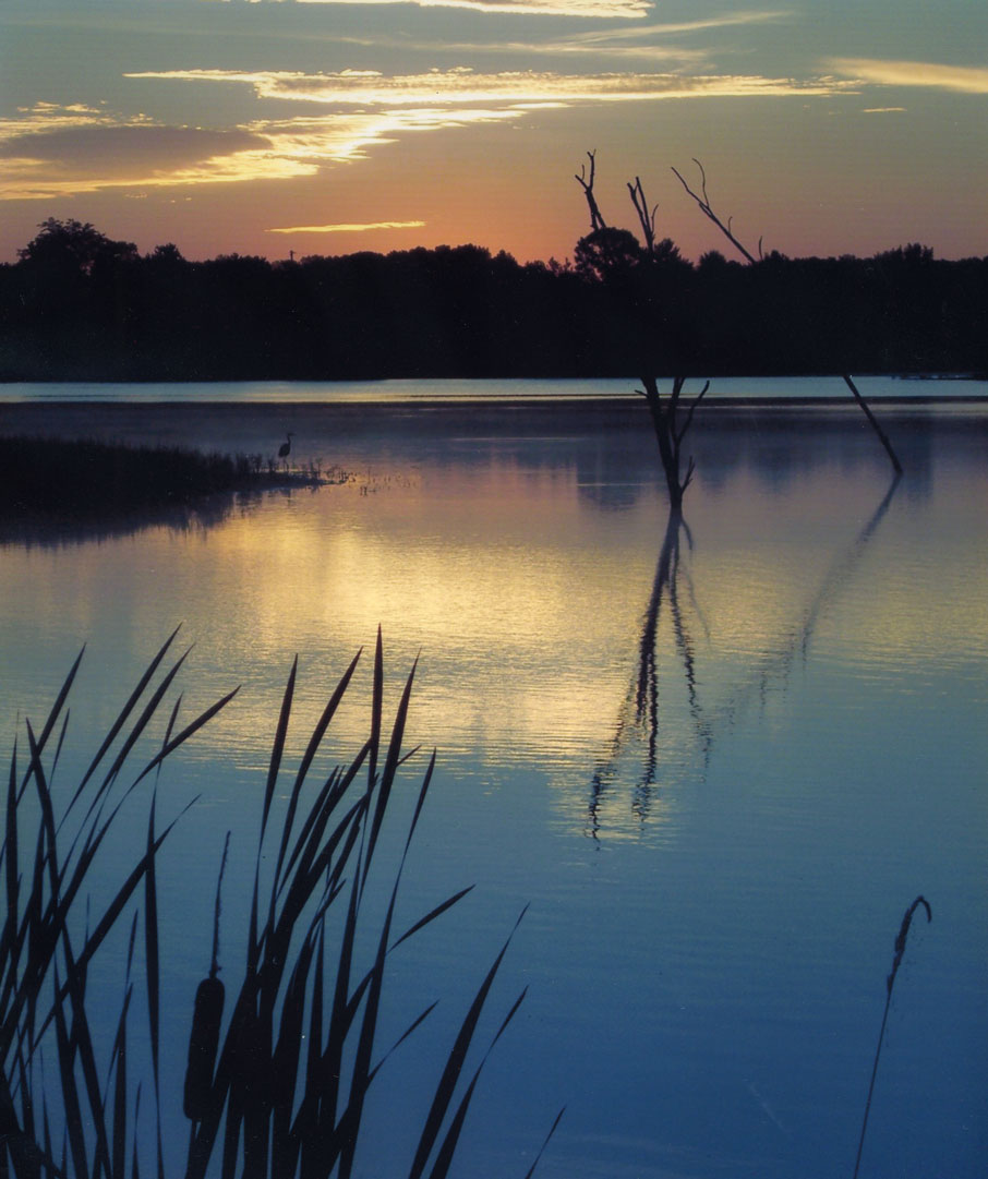PKP_Ellis-Pond_Barbara-Ratliff Metro Parks Ellis Pond