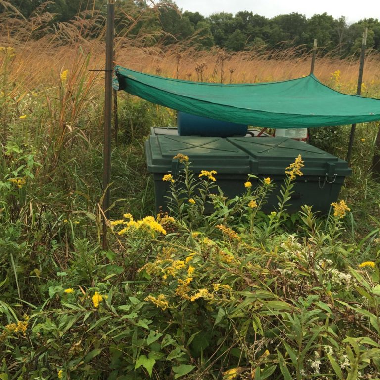 Bobwhite quail return to Central Ohio - Metro Parks - Central Ohio Park