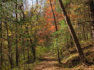 clc_hemlock-trail-with-color_kye-feasel-1080px