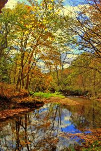 clc_fall-color-on-creek_oct_kerry-dunn-1080px