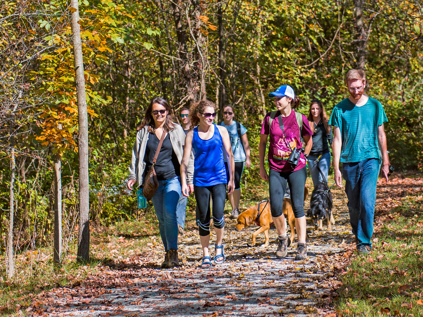 Visitors walk their dogs in the fall sunshine at Battelle Darby Creek. (John Nixon)