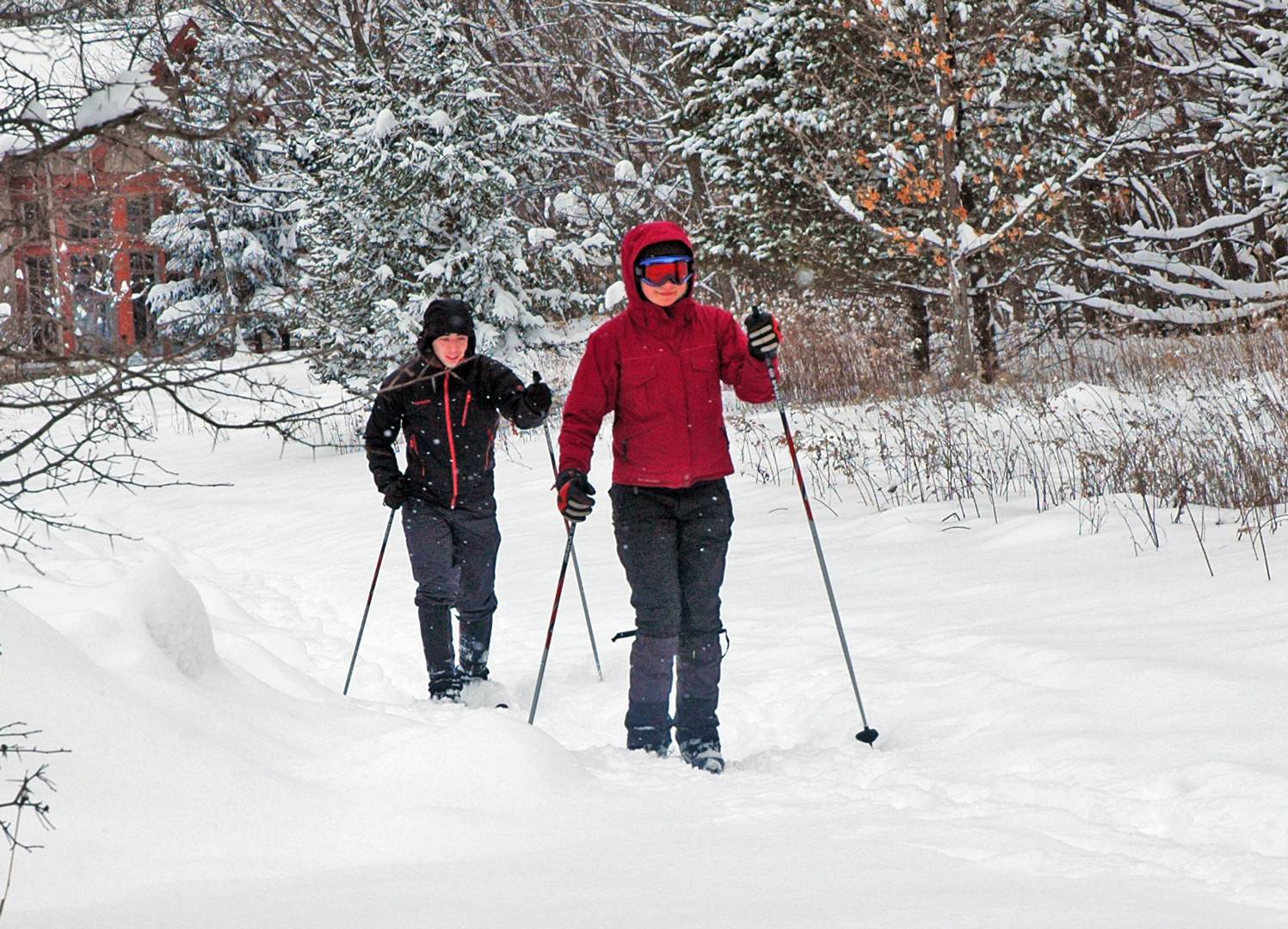 Cross-country skiing at Highbanks. Photo by Virginia Gordon