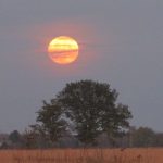 Full moon shines brightly low over the prairie at Battelle Darby Creek