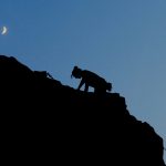 Silhouetted climber on night climb at Scioto Audubon climbing wall