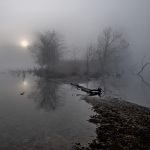 Sunrise through fog at Darby Bend Lakes in Prairie Oaks
