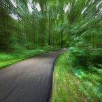 Motion blur filter on image of summer trail at Blendon Woods