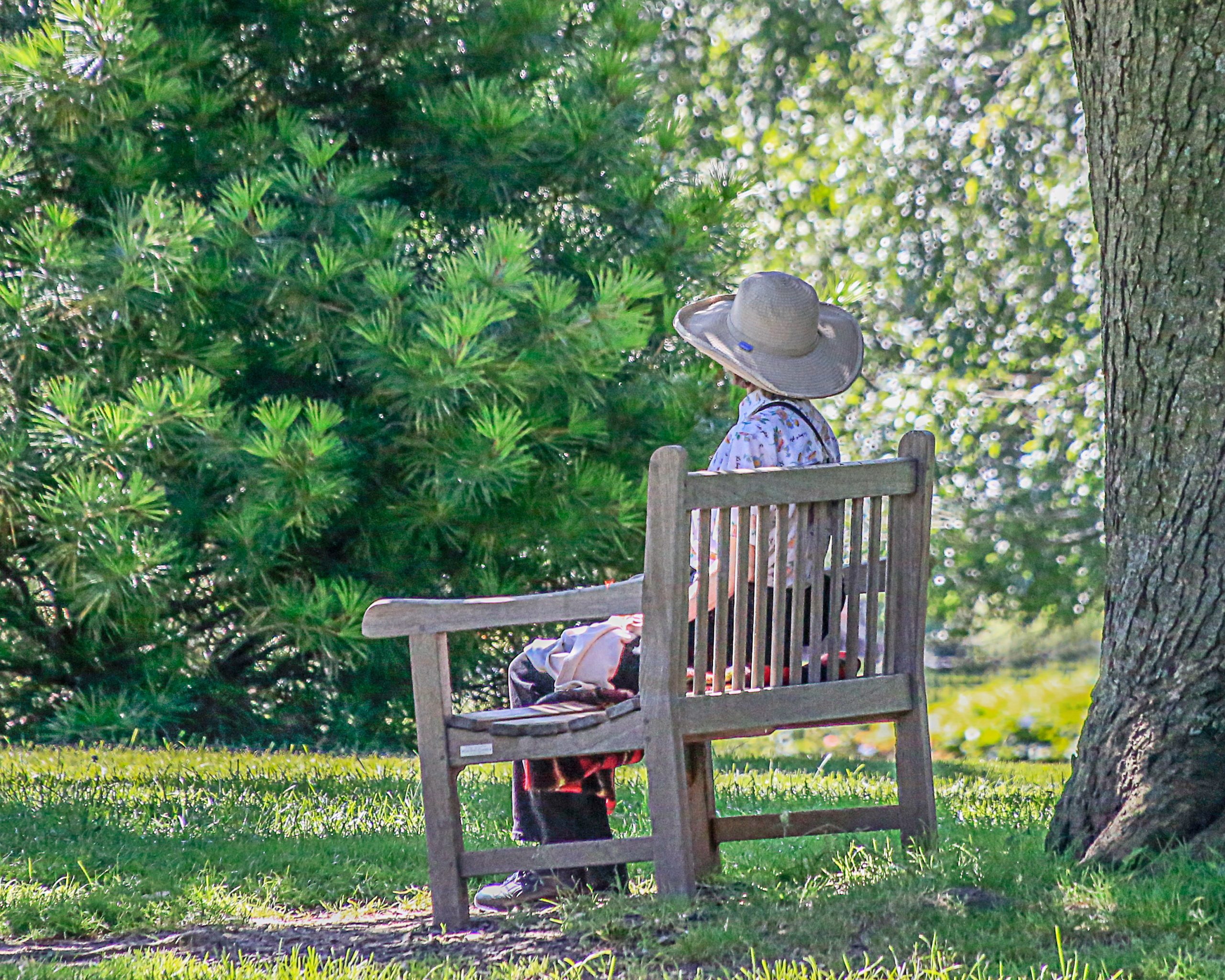 G1 Reflecting In Inniswood_Mary Howell Reflecting In Inniswood Photo by Mary Howell
