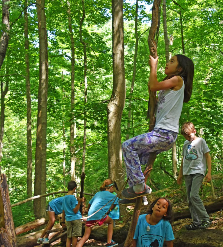 A girl climbs a tree in the natural play area at Sharon Woods, while other summer campers look on.
