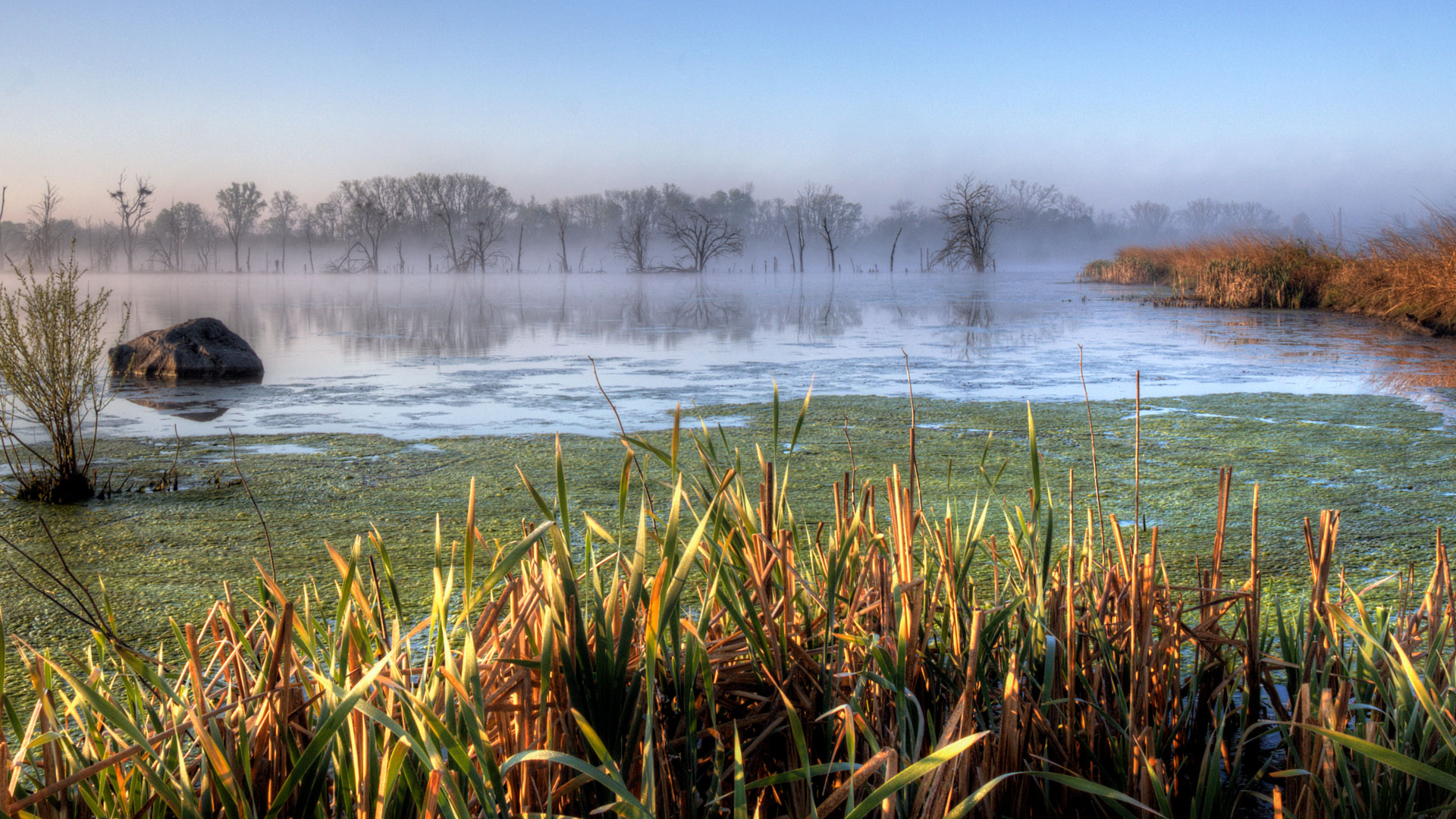 Foggy morning on Blue Wing Pond at Pickerington Ponds Metro Park