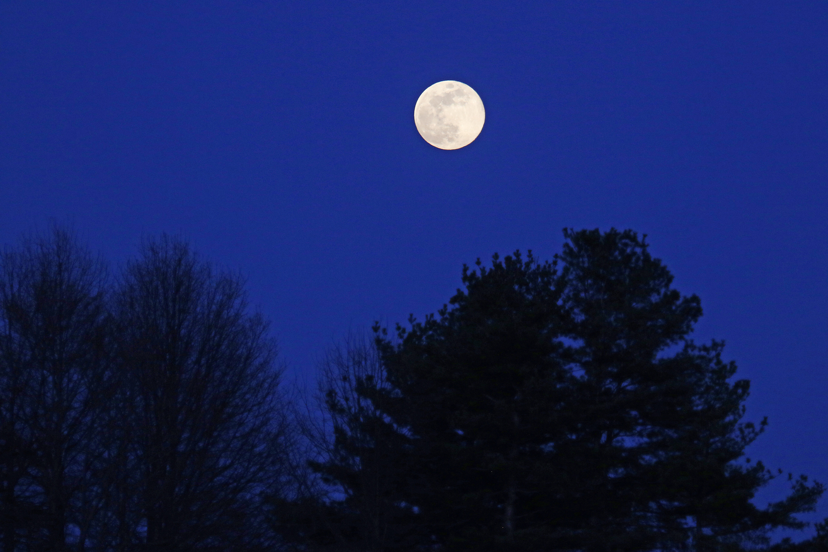 Full moon over Rocky Fork Metro Park