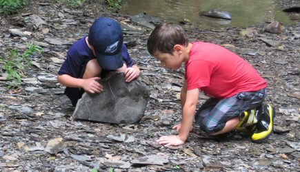 Two boys look beneath a large stone to see if they can find anything interesting hiding underneath. From pre-kindergarten camp, Peek-a-Boo and Pre-K Too at Highbanks.