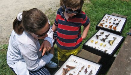 Family looking at insect collection at Slate Run.