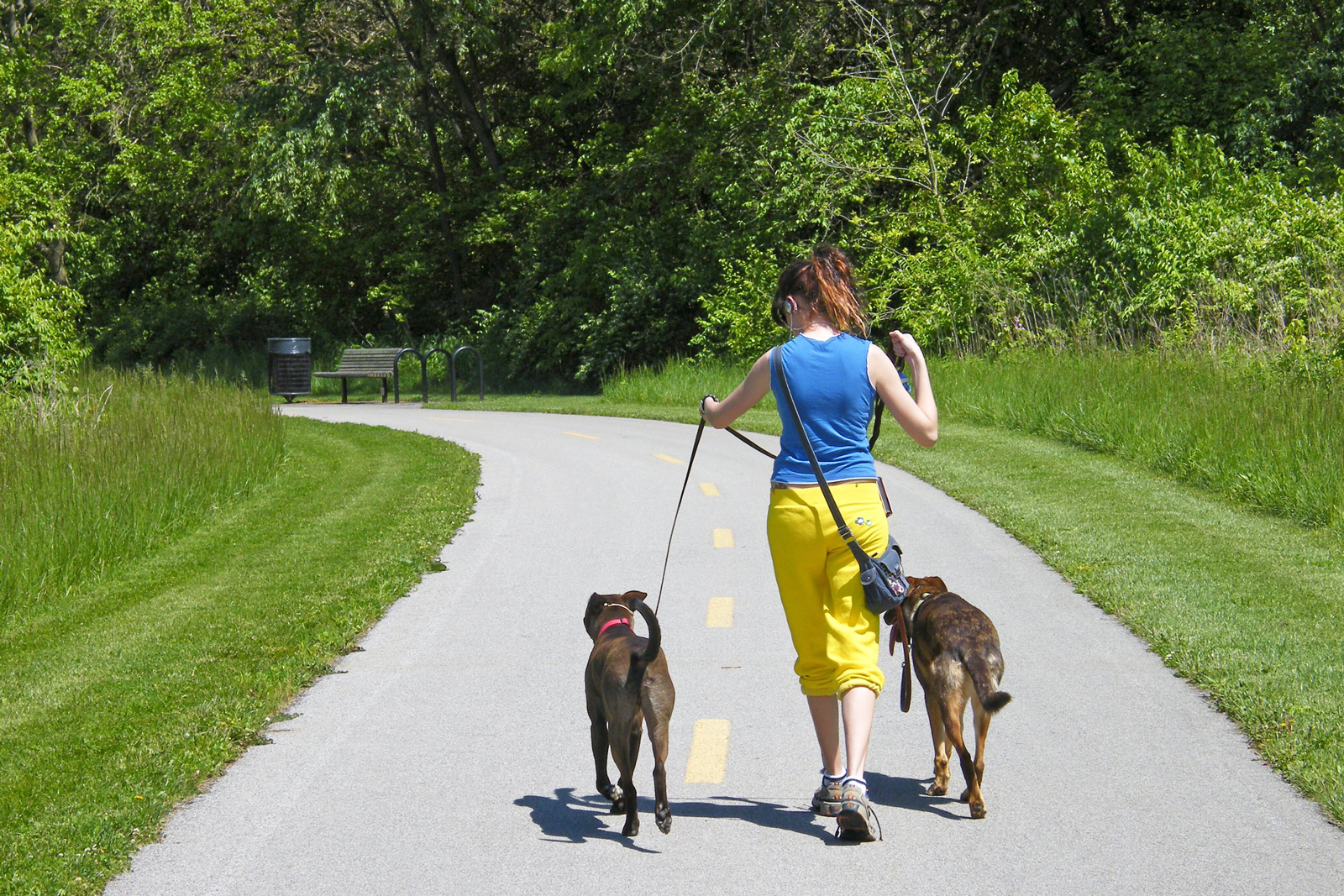 Visitor walks two dogs on the Blacklick Creek Greenway Trail