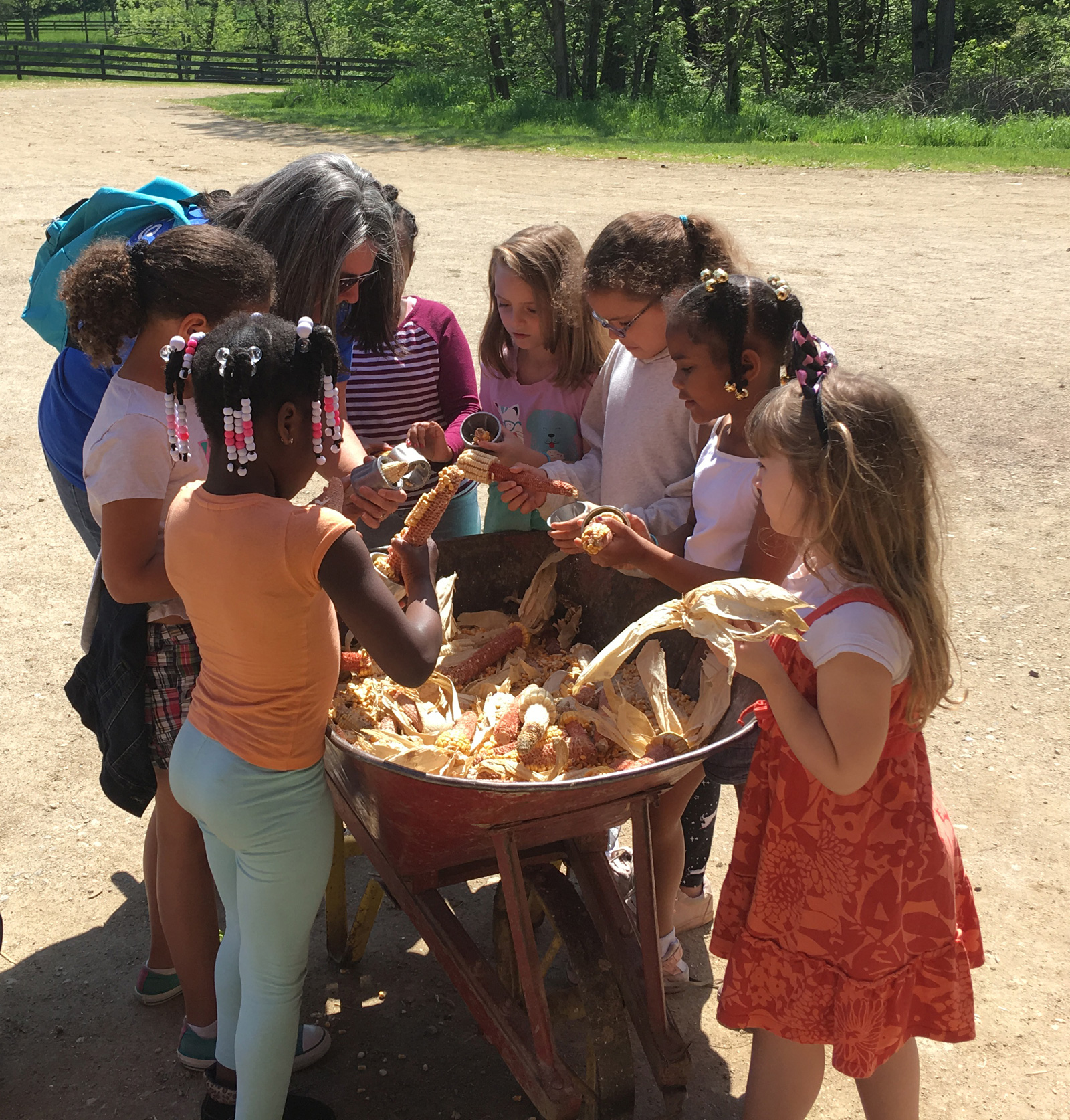Slate Run Farm school tour helps prepare corn