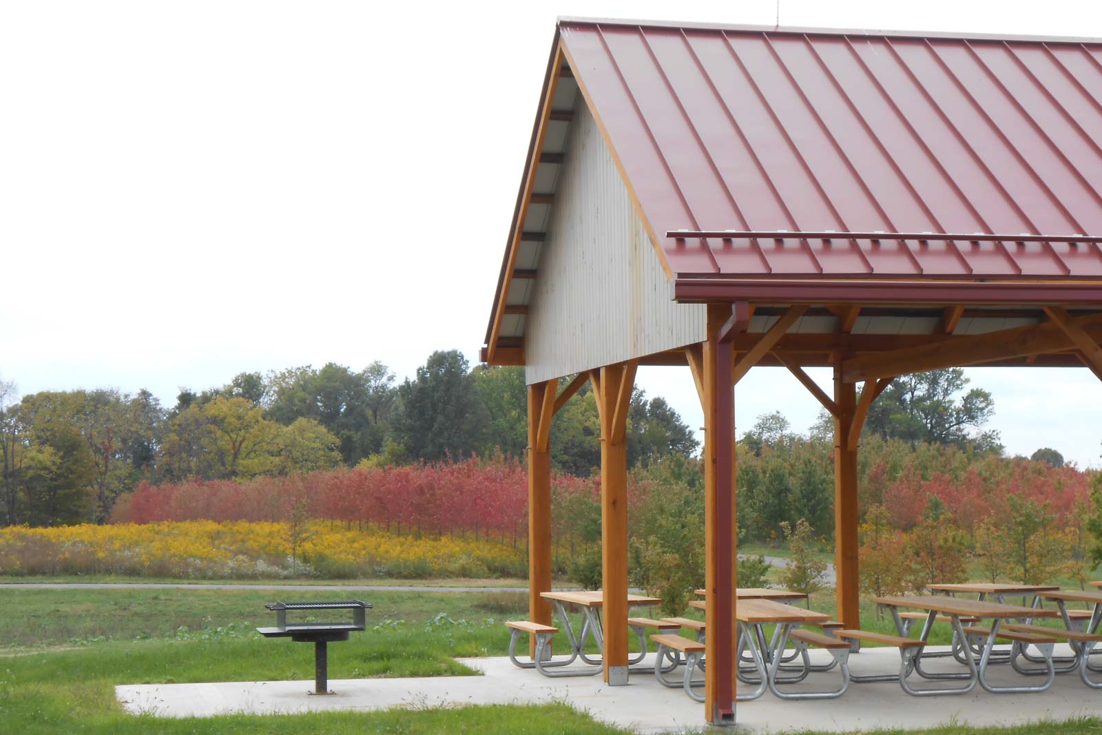 Walnut Woods in autumn. Picnic shelter and grill in the Buckeye Area.