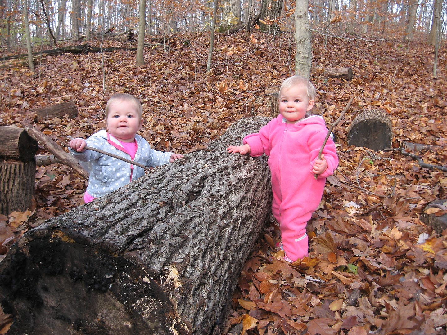 Kiddies at Slate Run's natural play area.