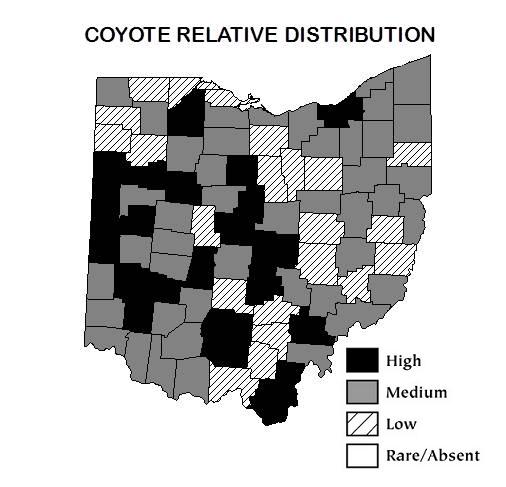 coyote map