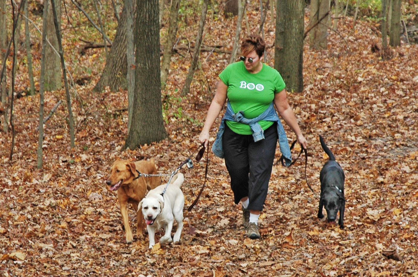 Visitor walks her three dogs on the Coyote Run Trail at Highbanks.