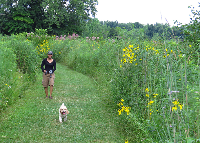 Visitor and dog on picnic area path at Sharon Woods Metro Park