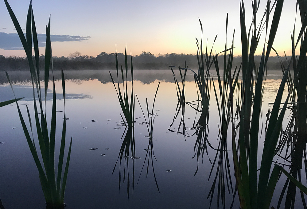 A peaceful sunrise over the fishing pond at Scioto Grove.