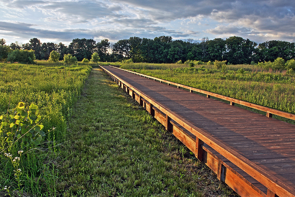 Boardwalk at Glacier Ridge