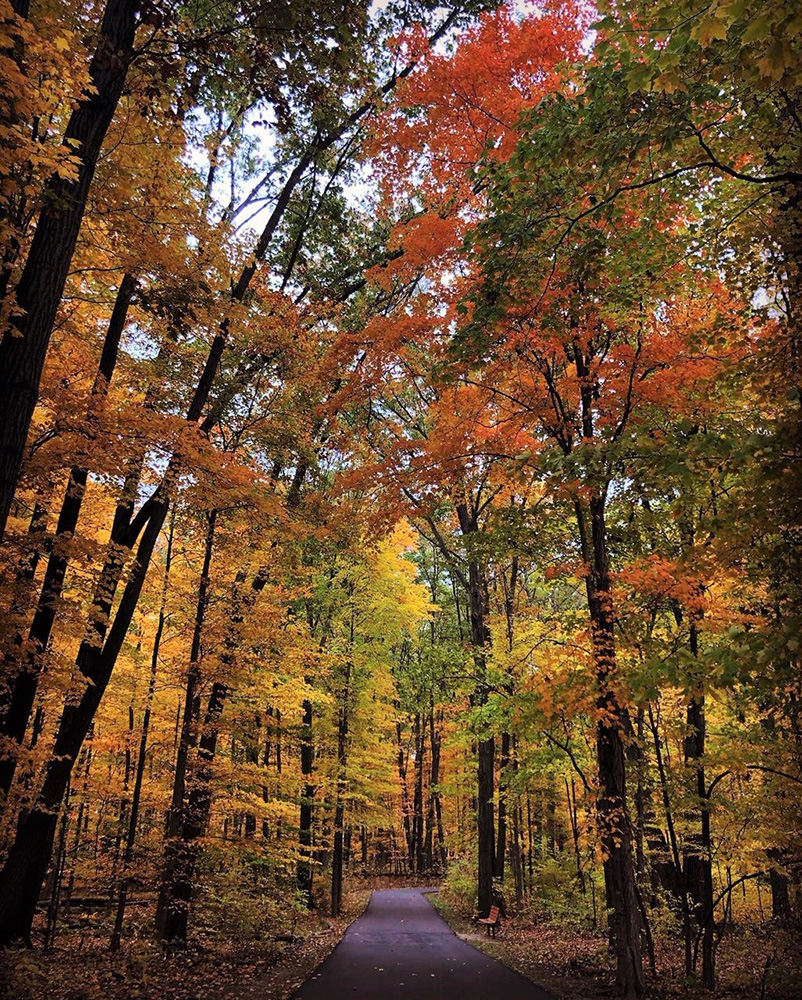 Fall color lines the Ironweed Trail at Glacier Ridge Metro Park.