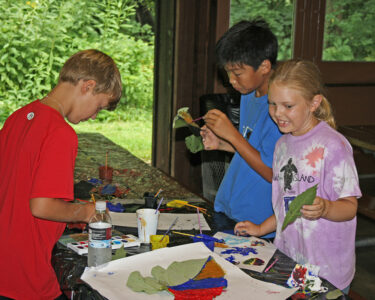 Metro Parks Summer Camp Painting Leaves