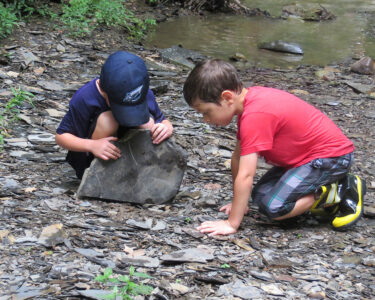 Metro Parks Summer Camp Kids Searching Under Stones
