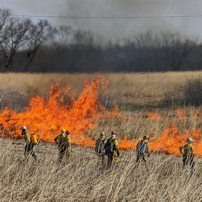 First time ever for prairie burn at Scioto Grove Metro Park 🔥