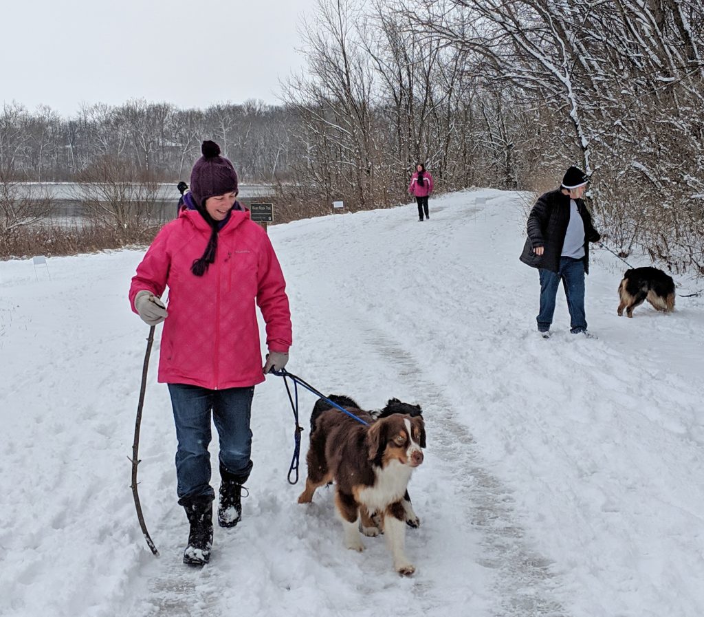 A woman walks her dogs on the Darby Creek Greenway Trail at Prairie Oaks