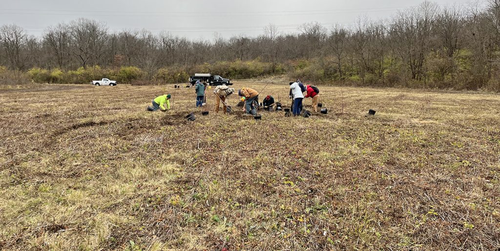 Building a habitat for quail Metro Parks Central Ohio Park System