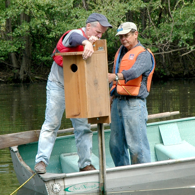 Metro Parks Volunteers Working on Duck Box