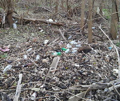 Masses of plastics and aluminum were deposited alongside Greenway Trails by flooding.