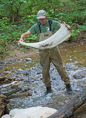 Volunteer John Lorenz looks for aquatic animals in a seining net.