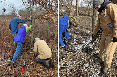 Metro Parks Resource Management volunteers plant a tree in the hunting area at Battelle Darby Creek Metro Park as part of a quail habitat improvement project. | A Resource Management team member walks through some of the assembled trees awaiting planting.
