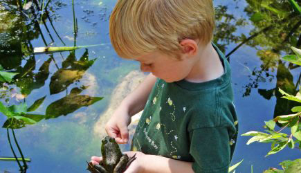 Scout Volunteers Boy with Bullfrog in Innis Wood