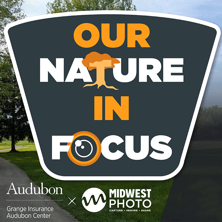 OUR NATURE IN FOCUS - a new photography exhibition and contest
