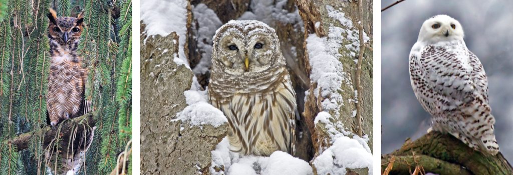 Come to Ohio, the winter heart of it all