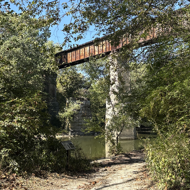 The Power of Walking