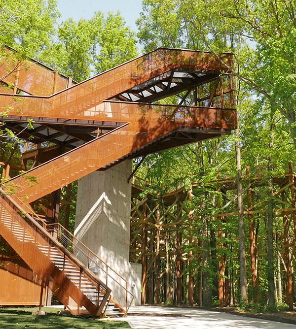Metro Parks Canopy Walk