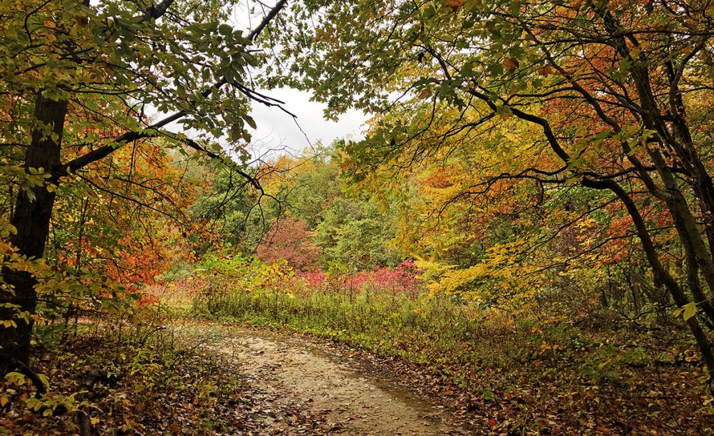 We Asked, You Answered