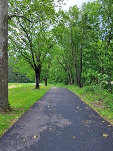 Paved multi-use trail with trees lining the path.