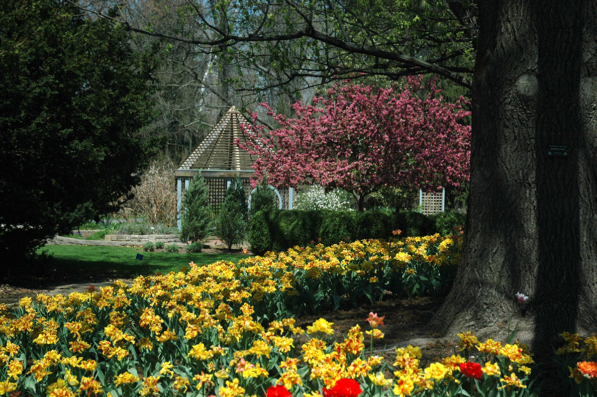 INN_herb garden and tulips_1200px_Bryan Knowles