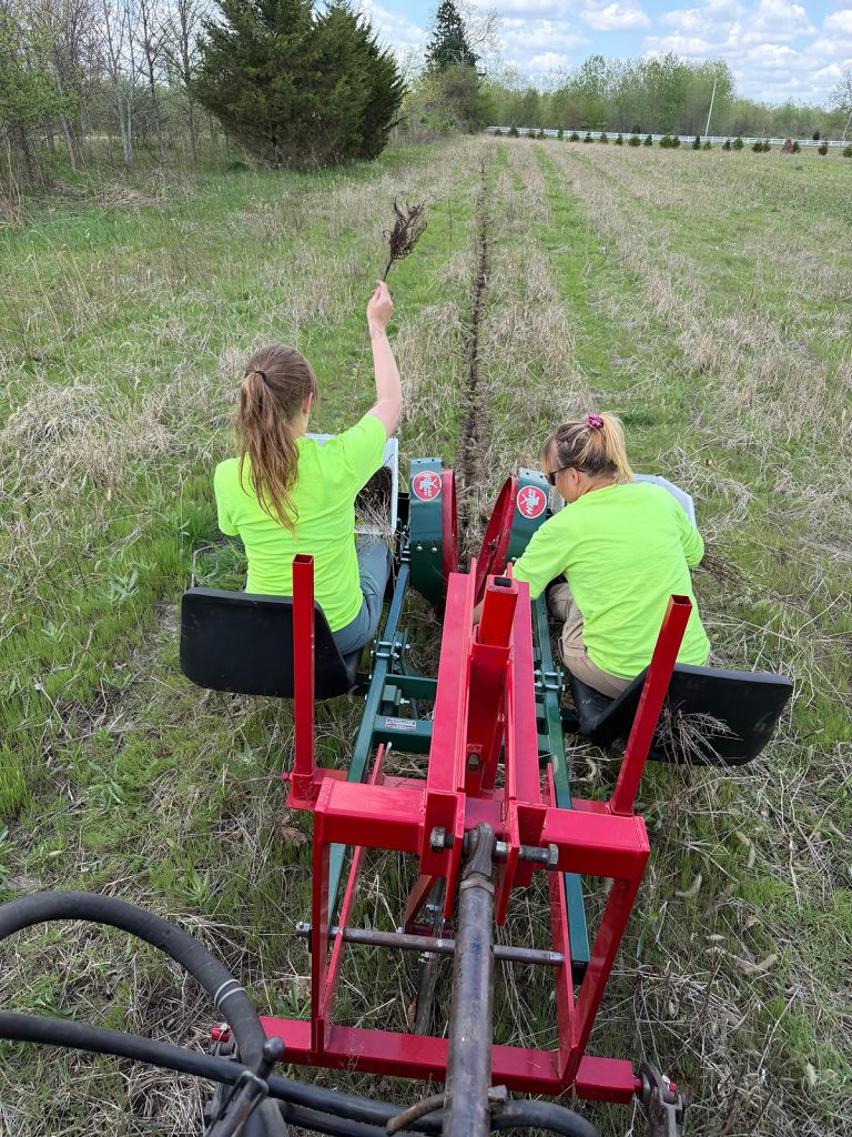 Friends who plant trees